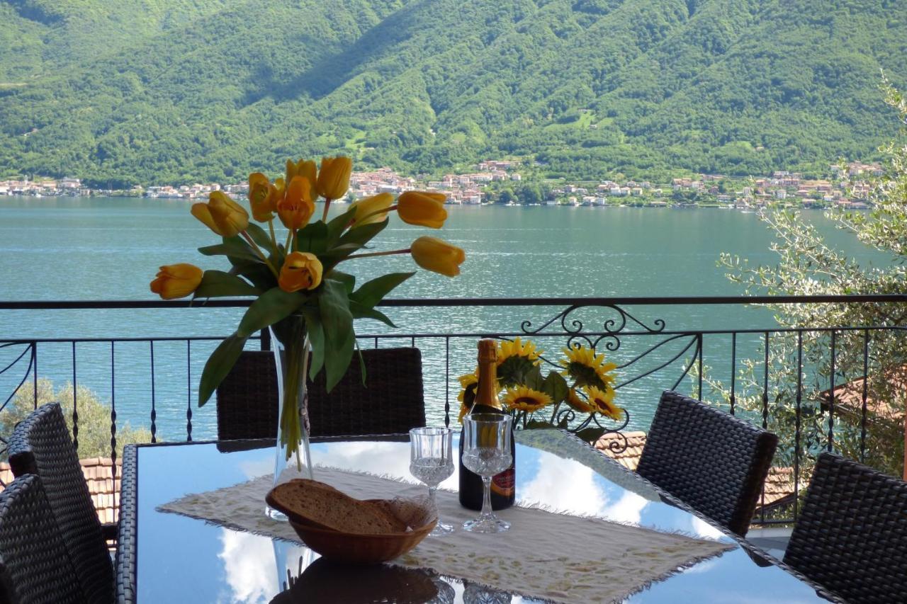 Isola Vista - Terrazzo Apartment Сала Комачина Екстериор снимка